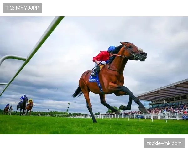 欧洲U21锦标赛回顾：冠军荣耀铸就传奇，新锐力量推动竞争力跃升