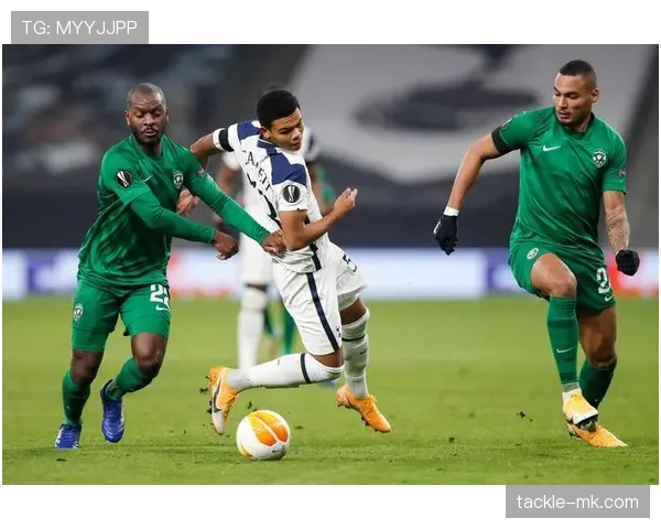 维也纳主场强势出击,状态回升剑指晋级 维也纳主场强势出击,状态回升剑指晋级