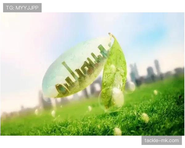 新技术赋能可再生能源突破发展瓶颈,加速绿色转型进程 新技术赋能可再生能源突破发展瓶颈,加速绿色转型进程