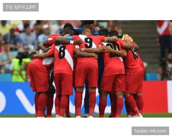 秘鲁队逼抢体系