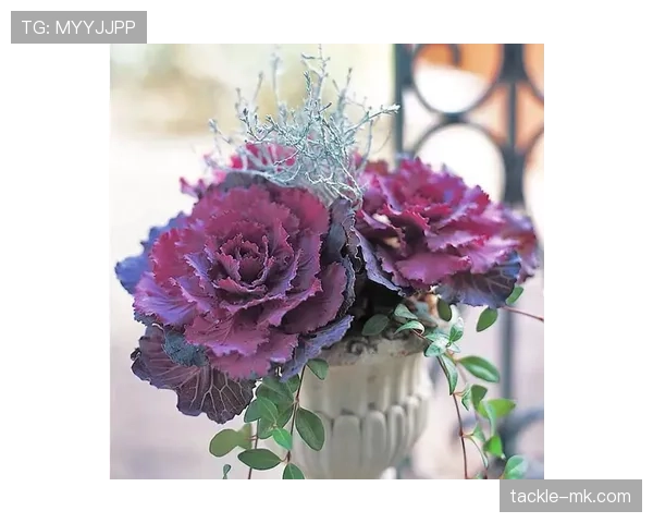 有时候真怀疑古力是魔术师，棋局上铁人，生活里连盆栽都照顾不好！